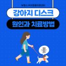 부평24시 SKY 동물의료센터 이미지