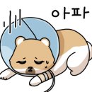 고읍북로 이미지