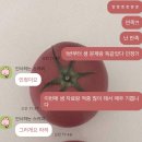 용문고등학교 | [엔콕학원 영어 박지은T] 25년 2학기 중간 용문고1 영어 분석