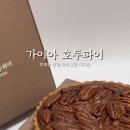 가이아호두파이