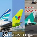 진에어, 에어서울, 에어부산 합병 '통합 진에어' 출범 이미지