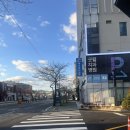 365일 | [부산/치과] 덕천동 사랑니 전문 365일 진료 <굿윌치과> 후기 |발치 후 관리,내돈내산, 주차정보, 붓기