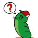 삼정민박 이미지