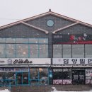 오델리스 이미지