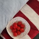 11500-19-22-07 | [다이소] 방울토마토 키트와 여름을⋆.ೃ࿔*:･