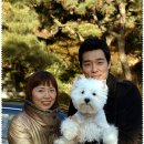 애견사랑 이미지