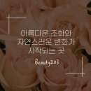 아름다움을꿈꾸는곳 피부관리