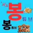 유튜브 프리미엄 이미지
