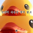 밥상저격