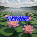[​오늘의 사주 명리학] 을해일주(乙亥日柱) 겉은 부드럽고 속은 단단함에 대해서 알아보겠습니다.(전화...