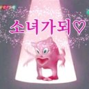 웨더스트랩 이미지
