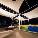 옐로우연화 이미지