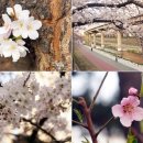 이그니스호텔 이미지