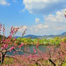 무릉도원 이미지