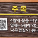 논현중앙근린공원 이미지