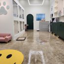 로즈메리 펫뷰티샵 이미지