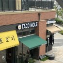가정역 | 인천타코맛집 타코몰리 루원시티점 방문후기🌮 인천가정역맛집 찾는다면 여기!