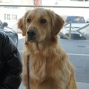 감자동물병원 이미지