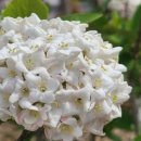 주식회사 우미 이미지