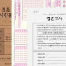 모의모든것 이미지
