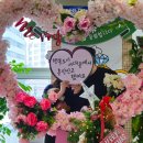 서대문구청 제1회의실 | [서대문구청] 2026년 드디어 진짜 부부! 서대문구청 혼인신고 완료 (소요시간, 꿀팁 총정리)