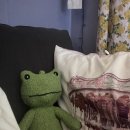 개구리게임장 이미지