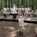 다른 아이들과 숲탐험대가 되어볼까? 제주 절물자연휴양림 아자탐험대 체험