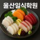 울산일식학원 : 활어를 이용한 오로시, 사시미수업