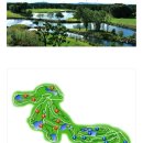 고은관광농원 휴양콘도미니엄 이미지