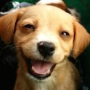 웃으면복이와요 이미지