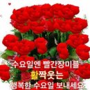 수요일 - 종로구 인사동길 36 | 수요일