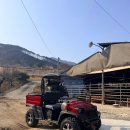 다우목장 이미지