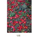 현대아이텔(시청역 6번출구) 이미지