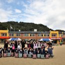 임하초등학교 이미지