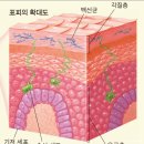 신백제약국 이미지
