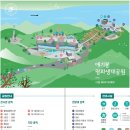 김포 애기봉 평화생태공원 이미지