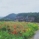 암산길(남후면) 네이버블로그
