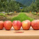 점수농장 이미지