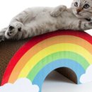 양파상회 이미지