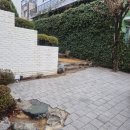 풀잎하우스 - 산청군 산청대로993번길 41-8 | 대구 웨딩스냅 크로아하우스 감성적인 스튜디오 야외촬영 하프타입 보정본 수령 후기