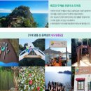 동백A(1차) 이미지