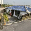 여기우다 이미지