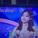 서주공주 미스쓰리랑 인증 이미지