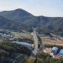 냉천 지초 Daum카페