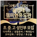 용인대 챔피언 유도관 이미지