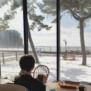 바다가 보이는 정원 | [태안] “카페 파도로” 바다가 보이는 식물정원 대형 카페