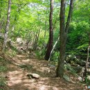 곡성-146 이미지