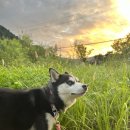 신해피투어 이미지