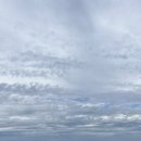 판포2060 | 제주도 감성 펜션 I 독채 풀빌라 I 판포 2060 I 2번째 방문한 이유 I 수영장/자쿠지/복층/바베큐/불멍