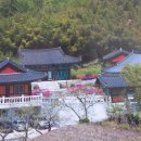 천호사 Daum카페